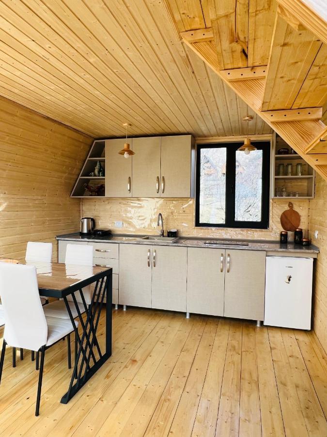 Apartament Emotion Kazbegi Zewnętrze zdjęcie
