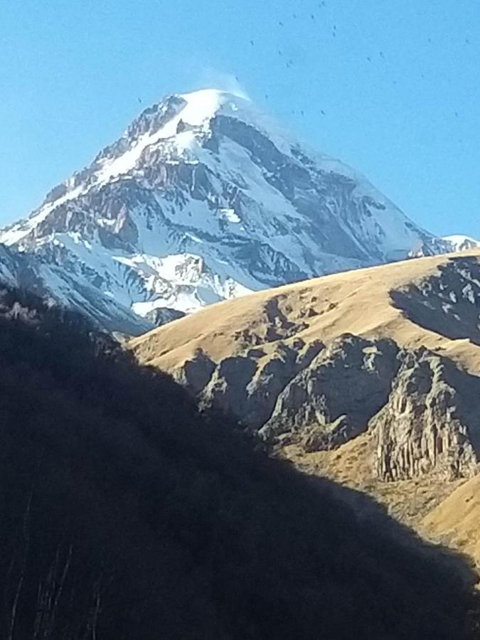 Apartament Emotion Kazbegi Zewnętrze zdjęcie