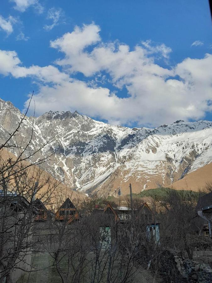 Apartament Emotion Kazbegi Zewnętrze zdjęcie