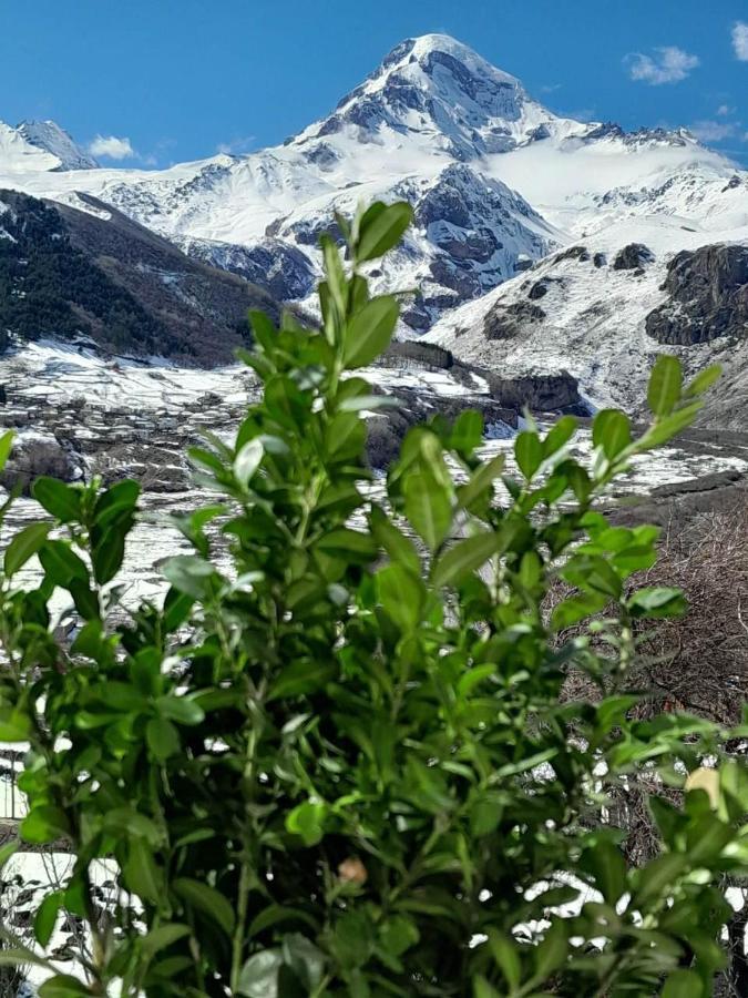 Apartament Emotion Kazbegi Zewnętrze zdjęcie