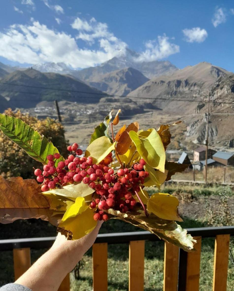 Apartament Emotion Kazbegi Pokój zdjęcie