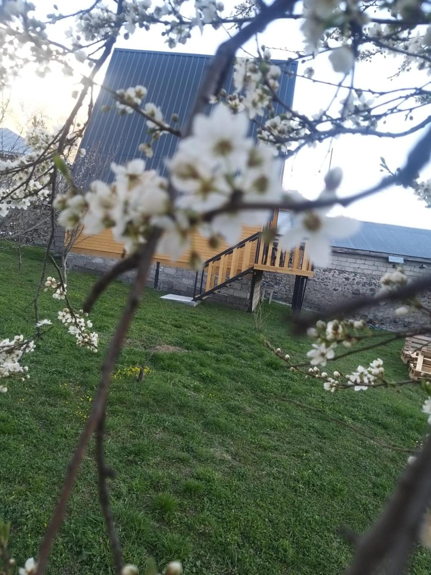 Apartament Emotion Kazbegi Pokój zdjęcie