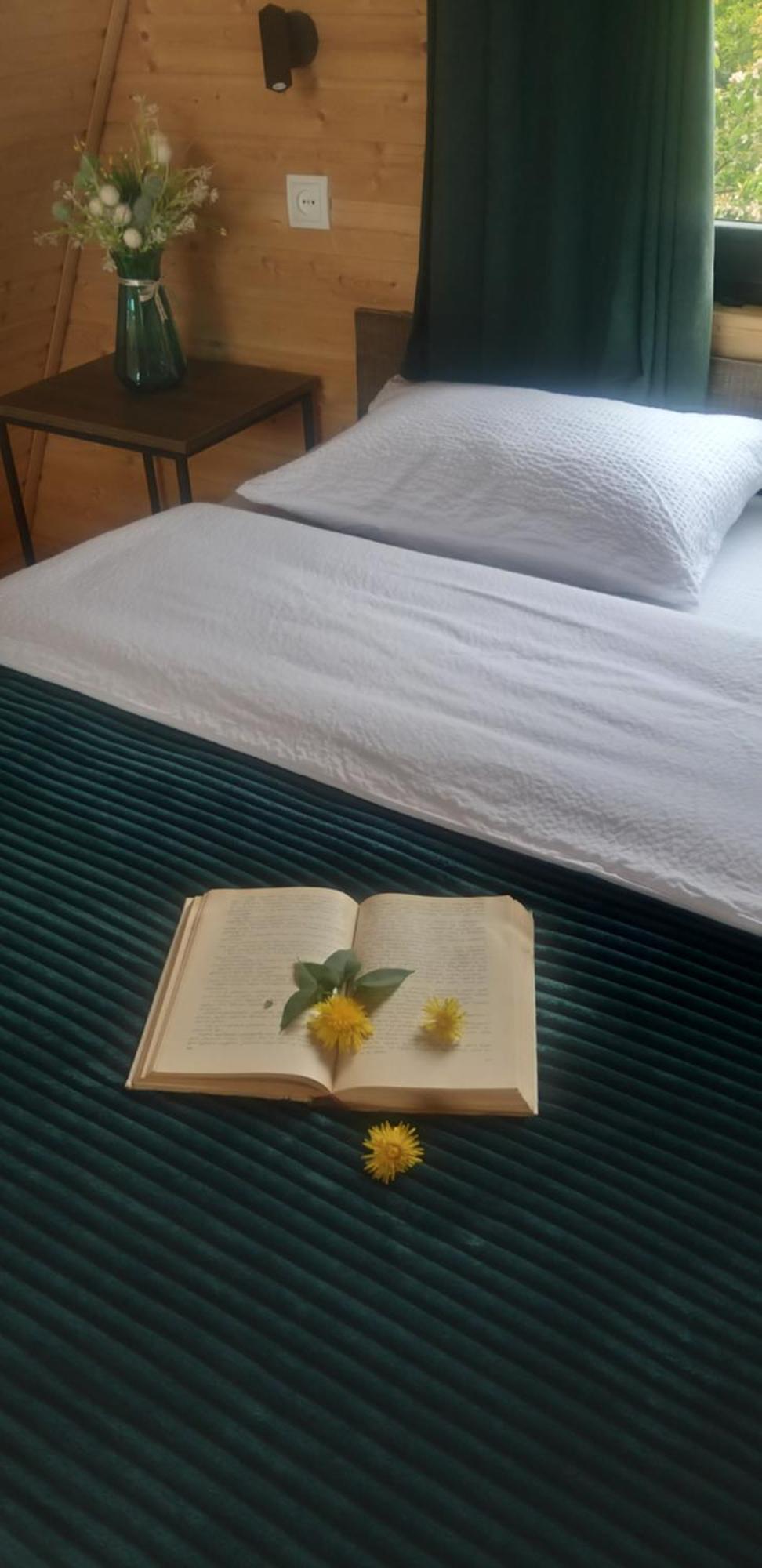 Apartament Emotion Kazbegi Zewnętrze zdjęcie