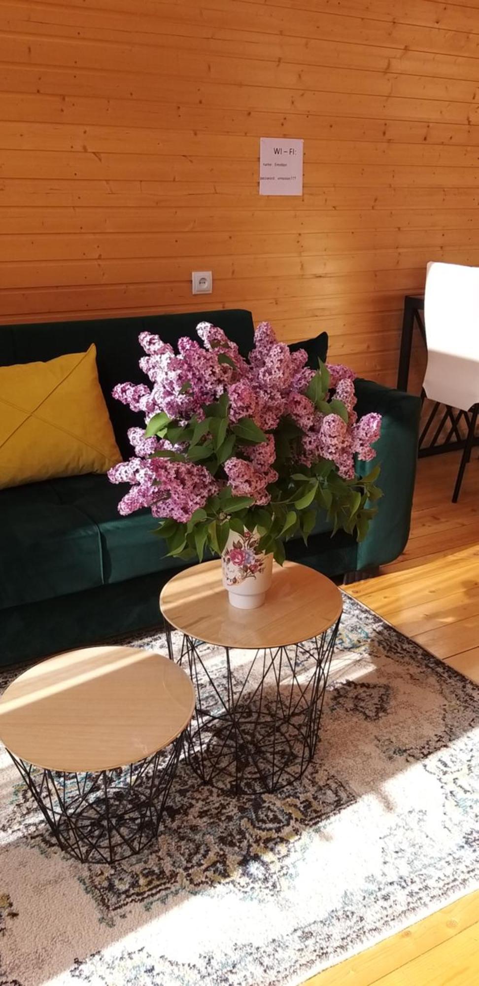 Apartament Emotion Kazbegi Zewnętrze zdjęcie