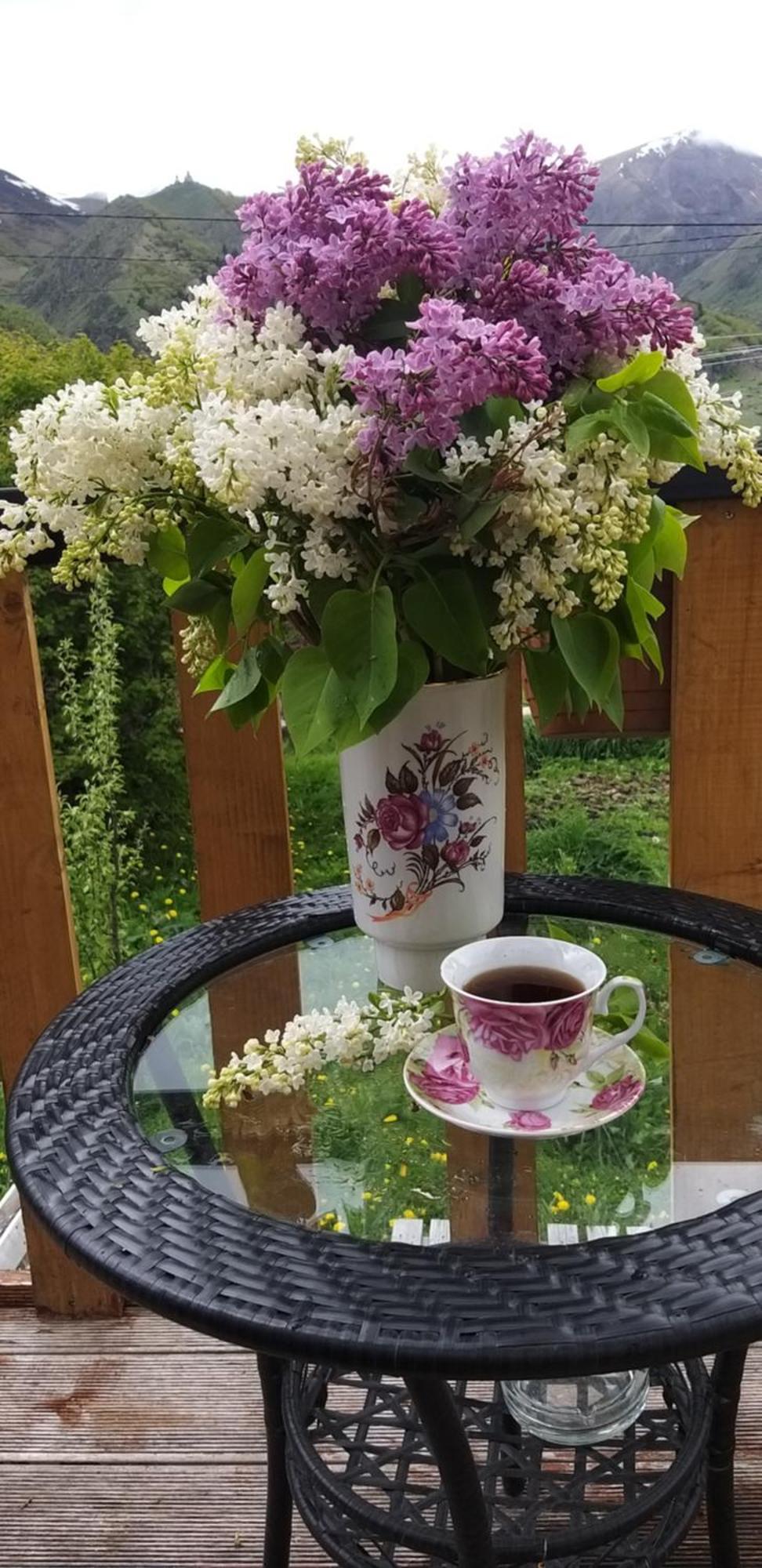 Apartament Emotion Kazbegi Zewnętrze zdjęcie