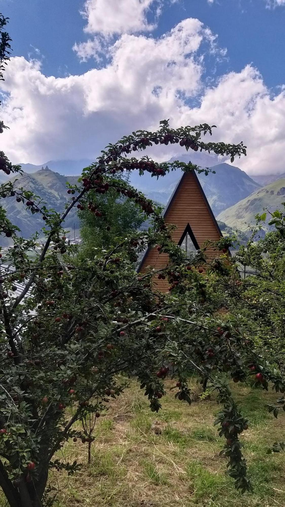 Apartament Emotion Kazbegi Zewnętrze zdjęcie